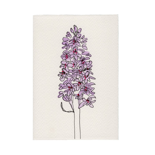 In The Meadow Card - Common-Spotted Orchid