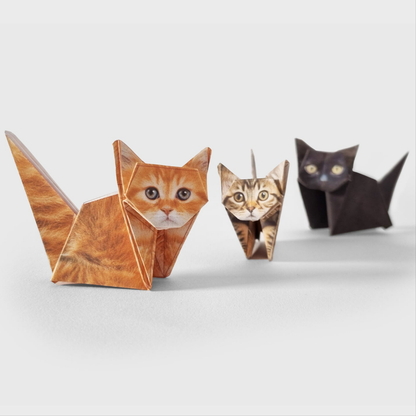 Paper Cats | Perfect For Cat Lovers | Cute DIY Origami Kit