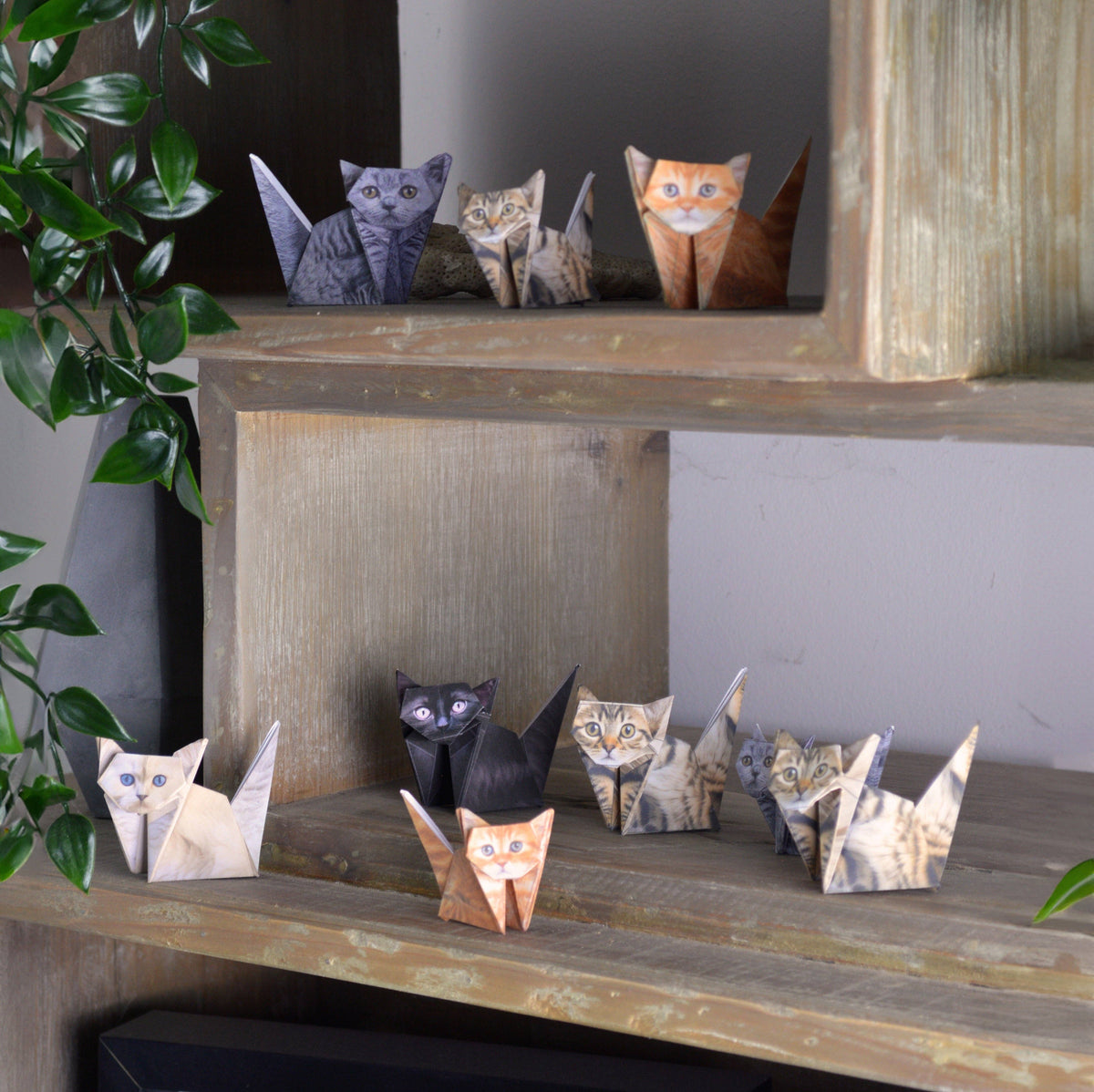 Paper Cats | Perfect For Cat Lovers | Cute DIY Origami Kit
