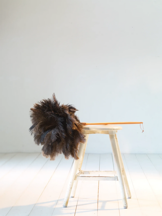 Ostrich Feather Duster