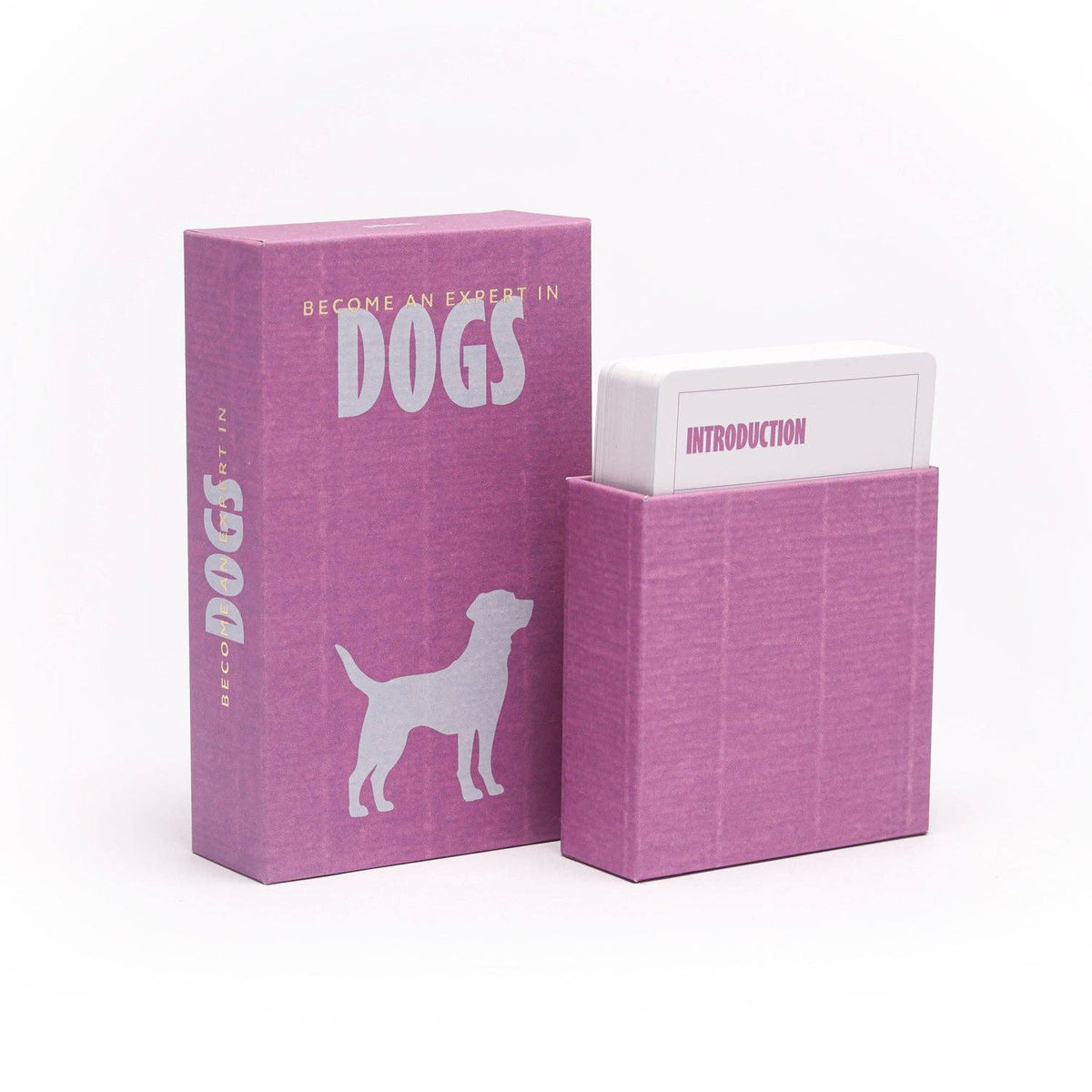 Become an Expert in Dogs | Dog Facts Slide Box Gift