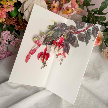 Fuchsia Pop-Up Card- Hiromi Takeda