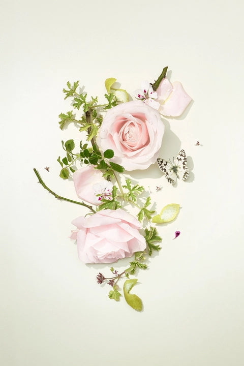 Bamford English Rose Flora Reed Diffuser