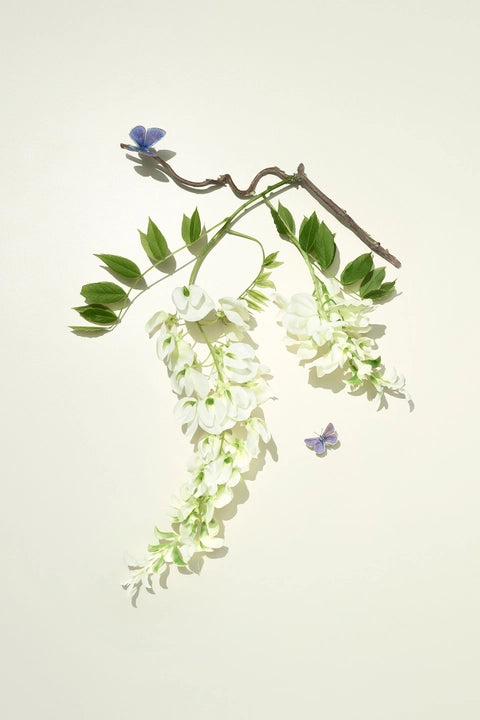 Bamford Wisteria Flora Reed Diffuser