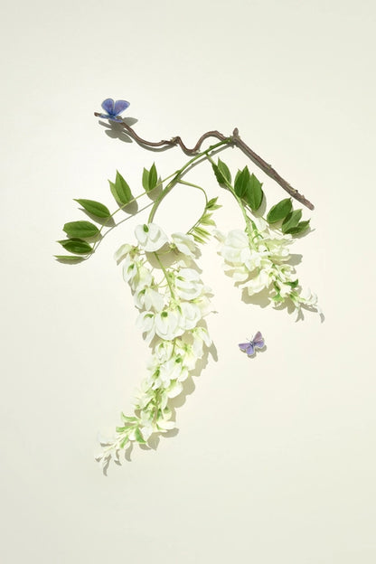 Bamford Wisteria Flora Reed Diffuser