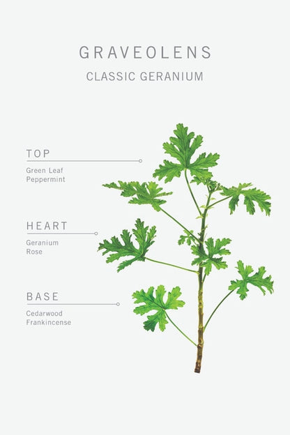 Bamford Graveolens Geranium Incense Sticks