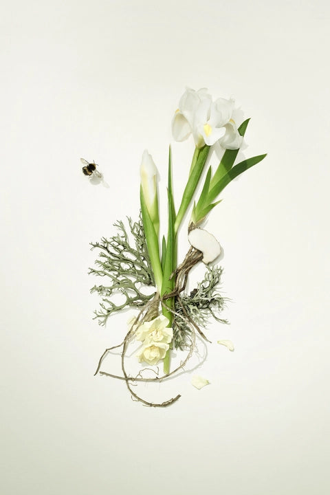 Bamford White Iris Flora Reed Diffuser