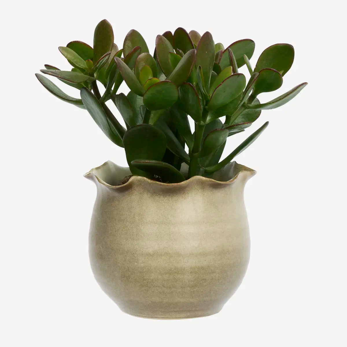 Stoneware Flowerpot