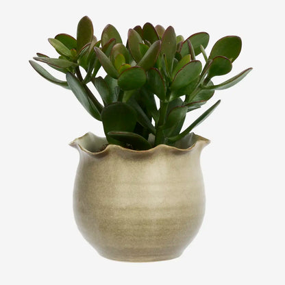 Stoneware Flowerpot