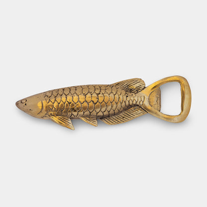 Brass Opener Rasbora Fish