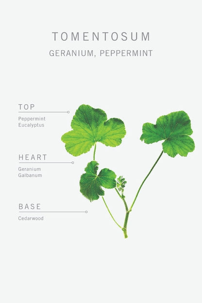 Bamford Tomentosum Geranium Incense Sticks